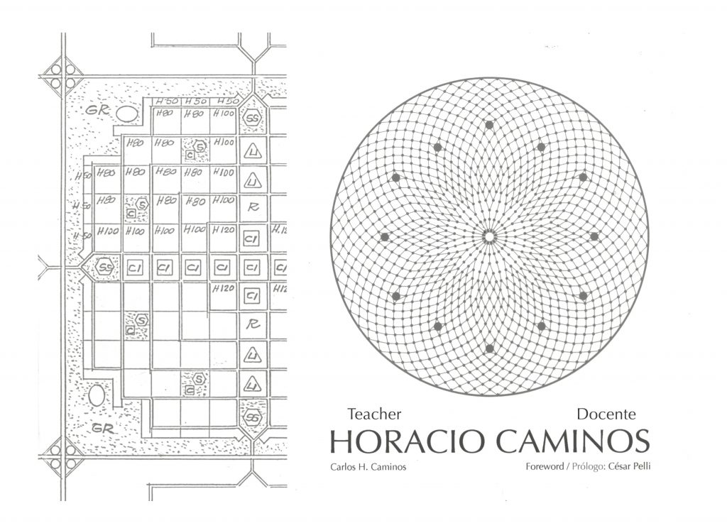 Sapere Vedere: Horacio Caminos - Teacher | Docente