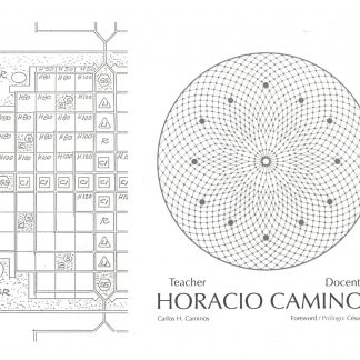 Sapere Vedere: Horacio Caminos - Teacher | Docente