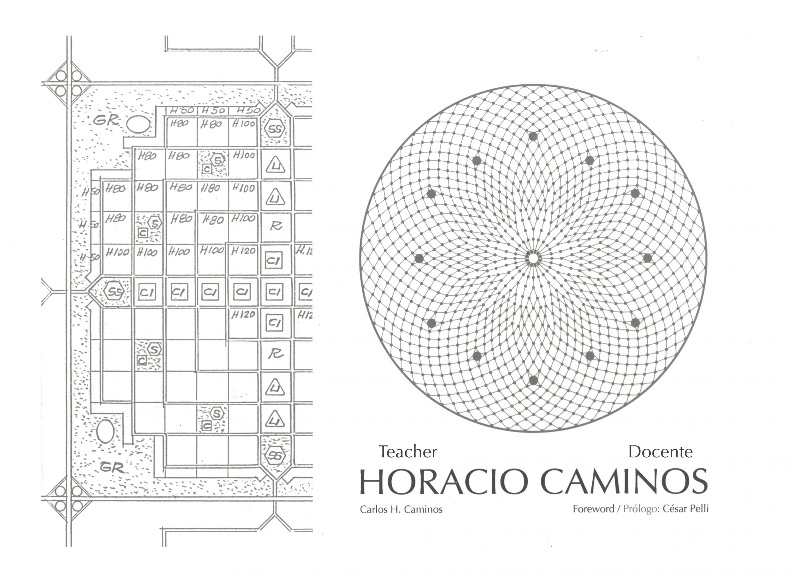 Sapere Vedere: Horacio Caminos - Teacher | Docente